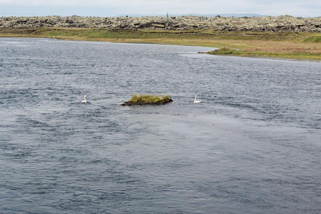 Eldhraun Guesthouse South Iceland Esterno foto